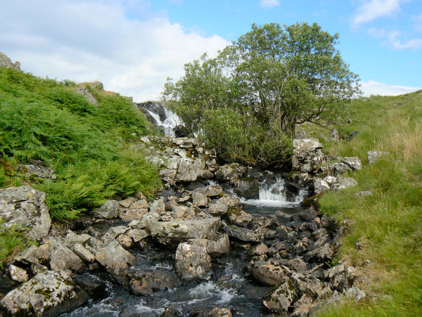 Linbeck Gill Linbeck Gill